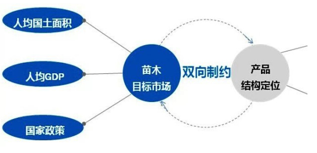 學習國外苗木行業(yè)經驗，搶先了解國內市場動態(tài)