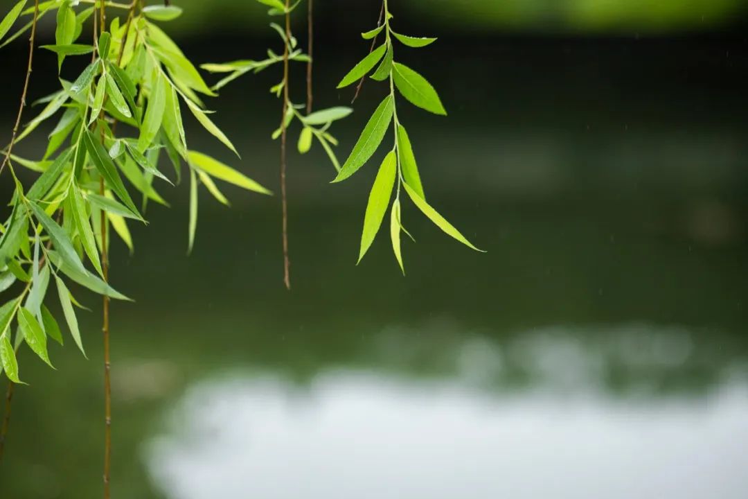 1672650309222781.jpg 微信圖片_20230102170421.jpg